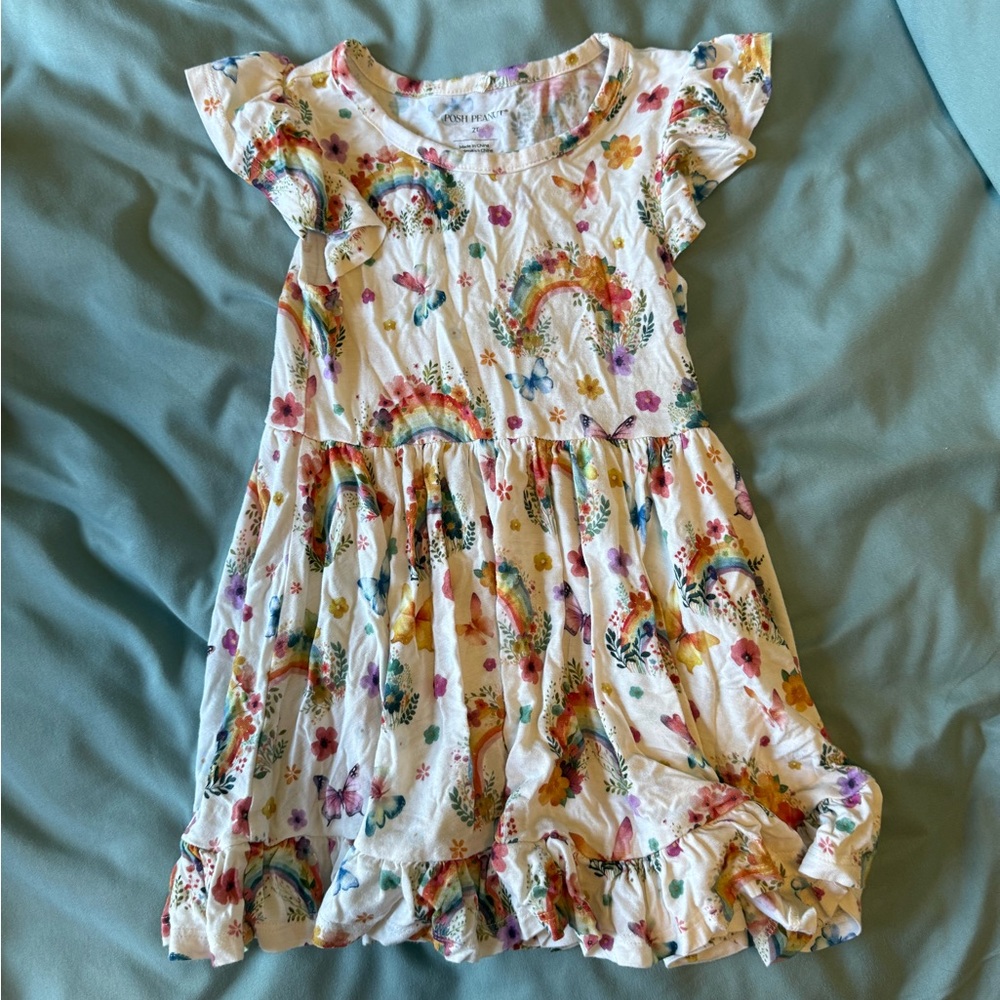 Posh Peanut Rainbow and Floral Kids Dress